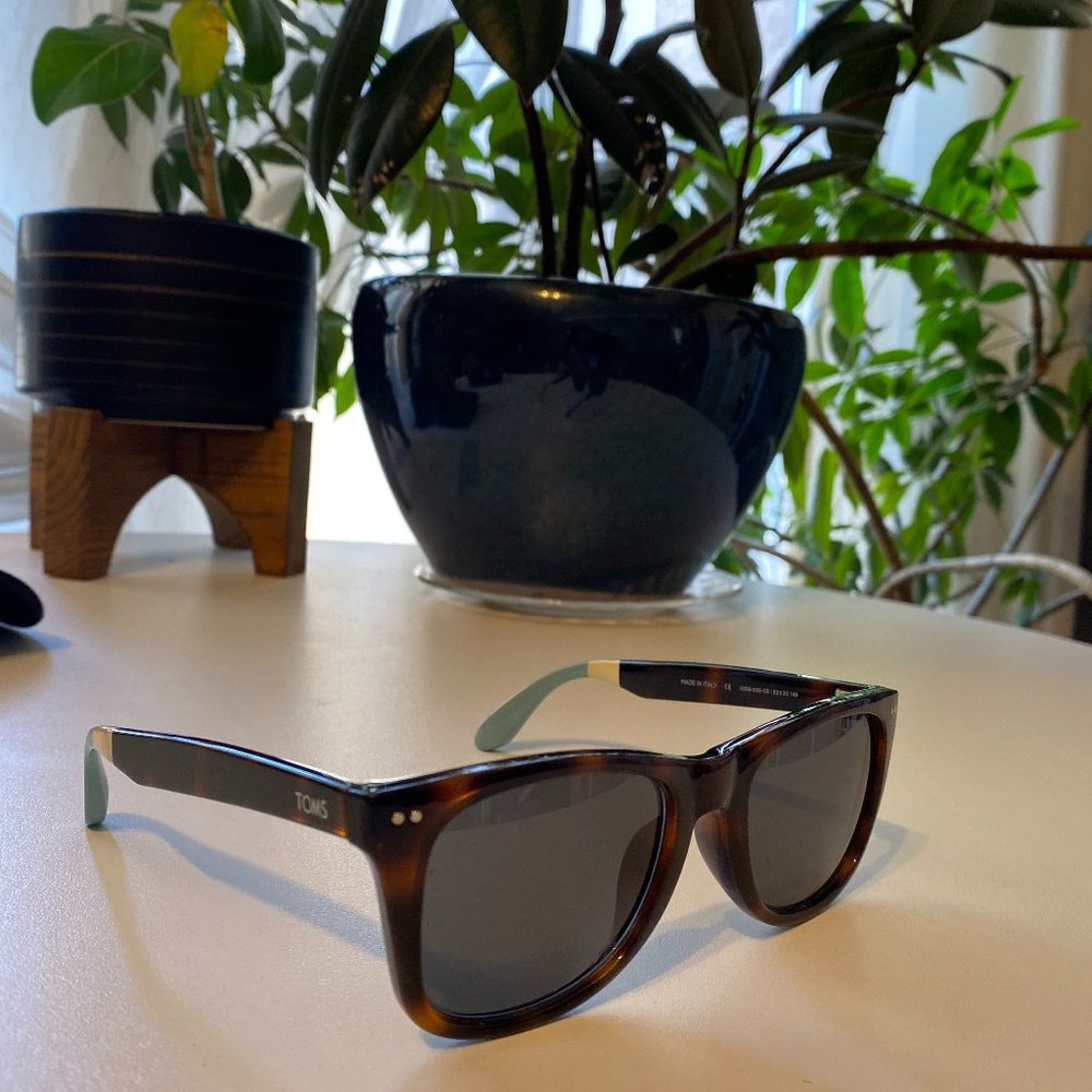 Toms polarized tortoise/blue stripe sunglasses